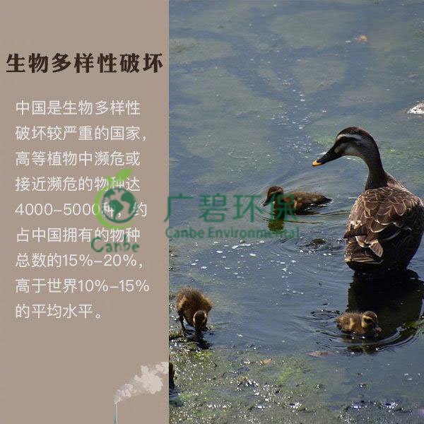 世界地球日 我們能為地球做些什么？(圖6)