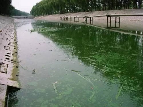 城市黑臭河道如何治理？河道黑臭水體治理思路(圖1)