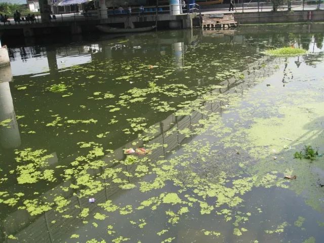 城市黑臭河道如何治理？河道黑臭水體治理思路