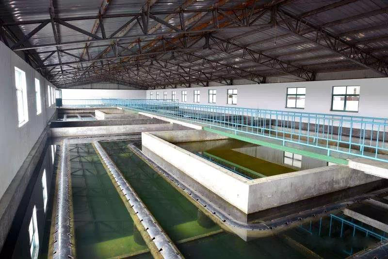 什么是制糖廢水？制糖廢水處理技術(shù)