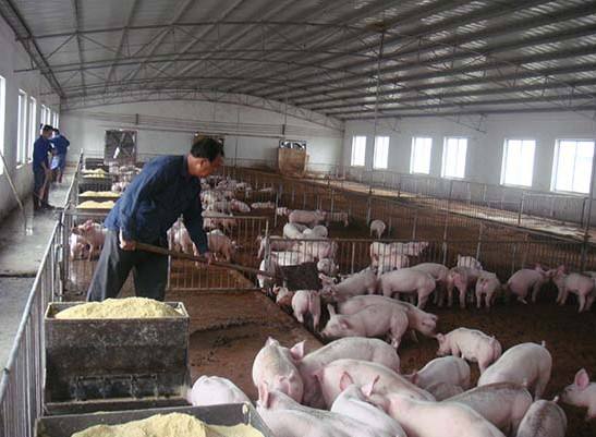 什么是養(yǎng)殖廢水？養(yǎng)殖廢水處理工藝