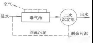 活性污泥是什么？活性污泥降解污水過程(圖1)