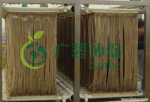 MBR污泥膨脹怎么處理？污泥膨脹的處理方法(圖1)