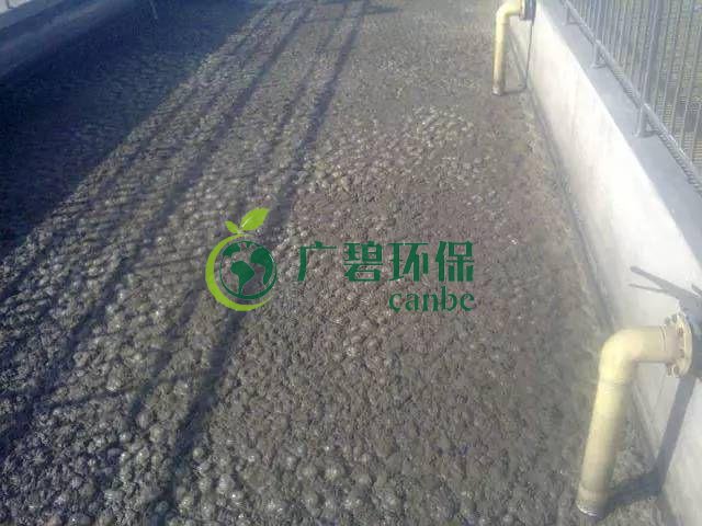 污泥發(fā)黑是什么原因造成？污泥發(fā)黑經(jīng)驗(yàn)分享(圖1)