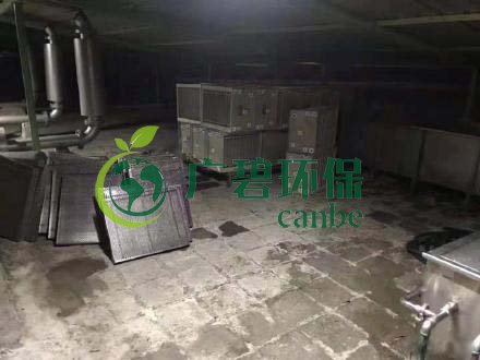 廣州旺旺食品廢水直排，永和河大量魚類死亡(圖3)