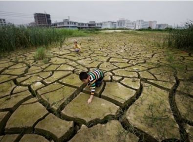 【世界土壤日】《土壤污染防治法》有哪些亮點？