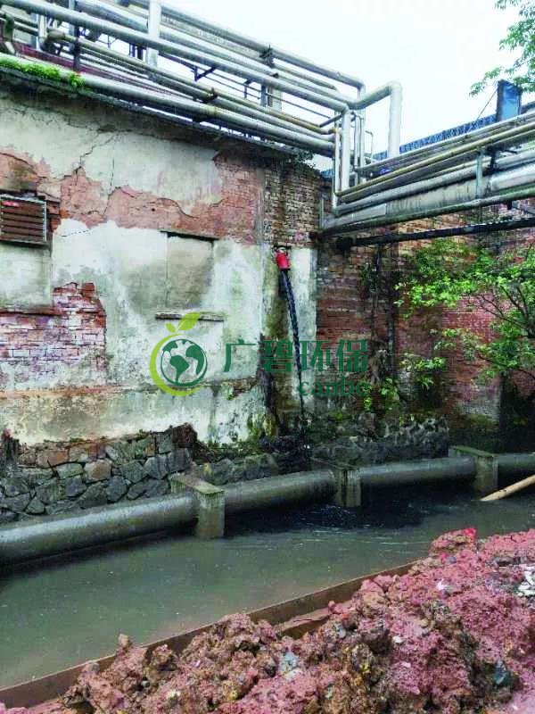 廣州海珠有污水直排河涌，3名涉案人員被行政拘留(圖1)