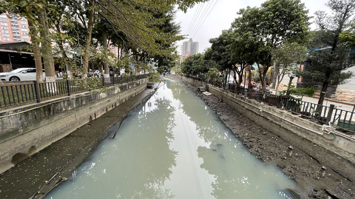 順德大良石洛涌、八坊涌整治見成效(圖3)